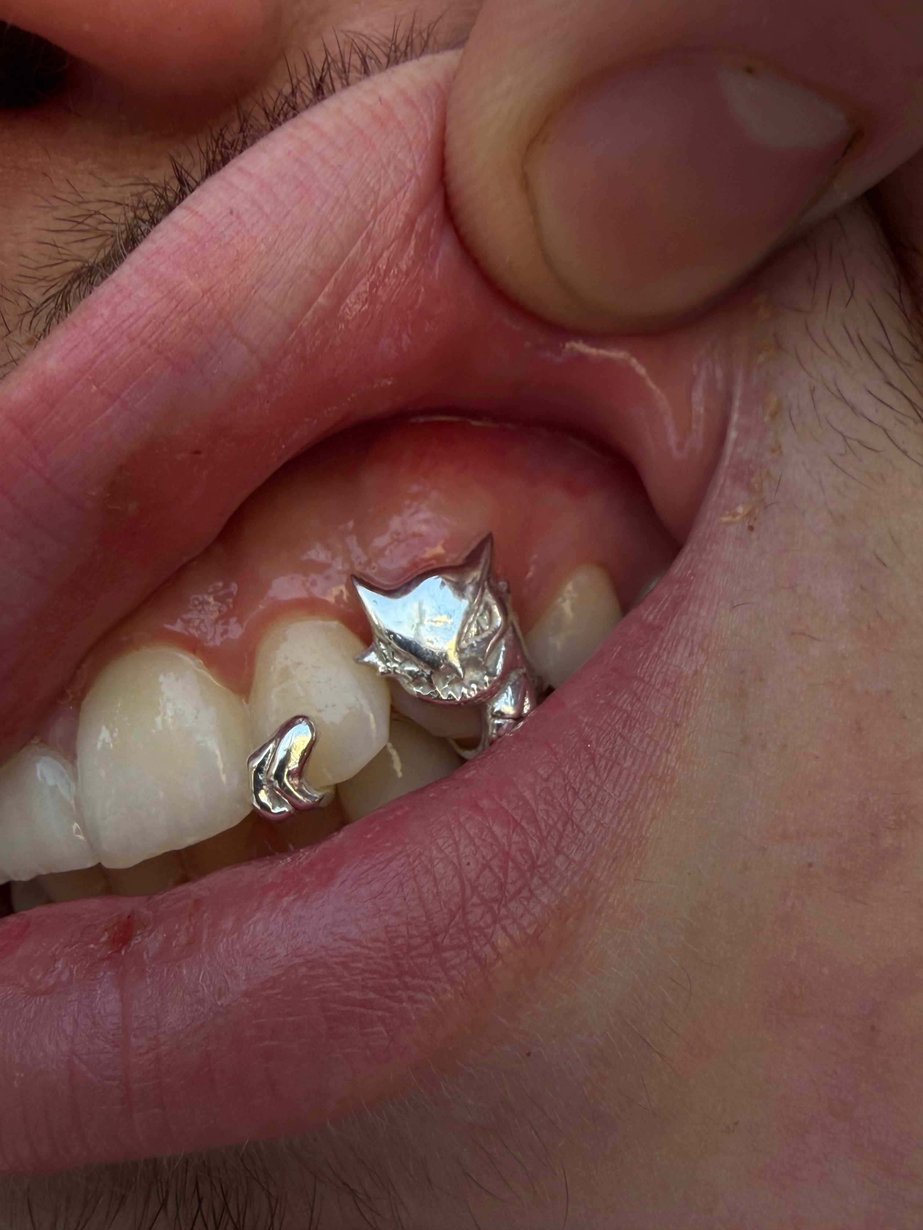 Pop Culture Grillz